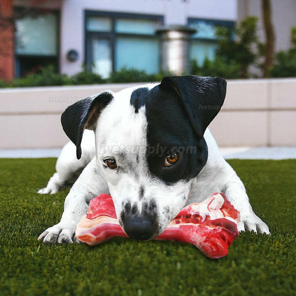 Pet Dogs Chew Toys for Aggressive Chewers Indestructible Rubber Leg Bone